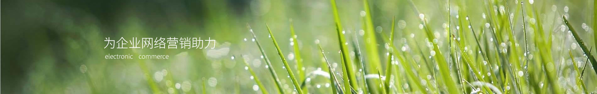 ȷʢܿƼ޹˾